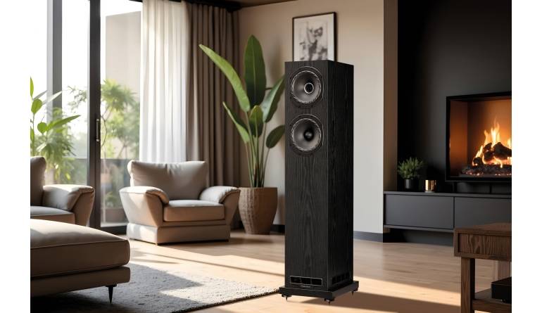 Lautsprecher Stereo Fyne Audio F501E im Test, Bild 1
