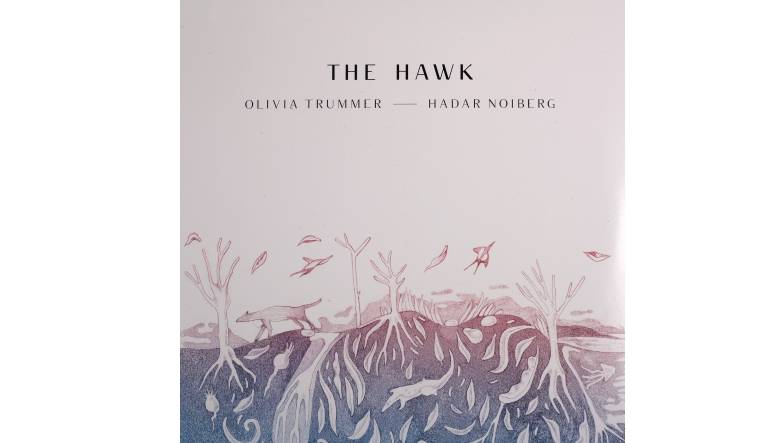Schallplatte Olivia Trummer & Hadar Noiberg – The Hawk (flavoredtune) im Test, Bild 1